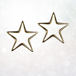 Nativity Star