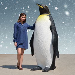 6 foot Penguin