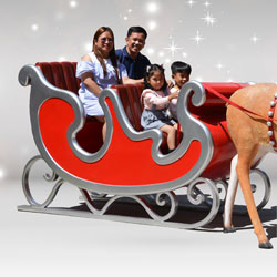 4 seater sleigh