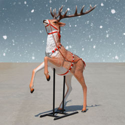 Reindeer