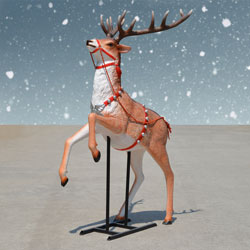 Reindeer