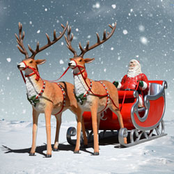 Santa's Sleigh and Reindeer