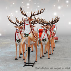 Eight standing reindeer and one rearing reindeer