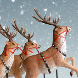 detail shot of reindeer