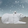 Life size Polar Bear