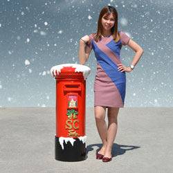 Santa Letter Box