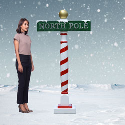 6 foot North Pole Sign