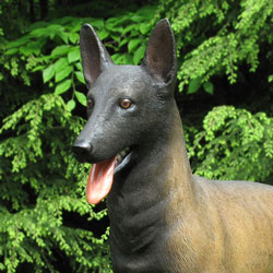 Malinois dog statue