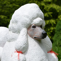 Fiberglass Poodle Statue