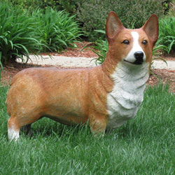 Standing Corgi