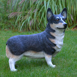 Standing Corgi