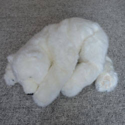 Polar Bear Sleeping