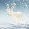 Plush White Reindeer