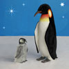 Penguin and Chick