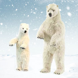 Life size Polar bears