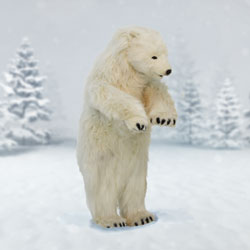 Plush Polar Cub