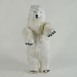 Indoor Polar Cub