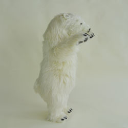 Cub on two feet