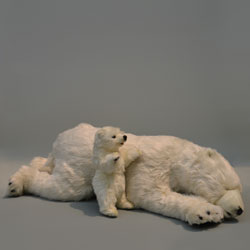 Polar Cubs