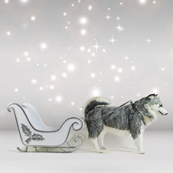 Indoor Husky Dog Sled