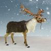 Life Size Nordic Reindeer