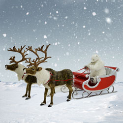 Santa, Sleigh &amp; Reindeer