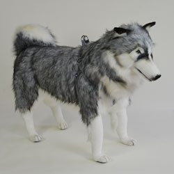 Stuffed Husky dog