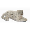 Hansa Snow Leopard