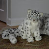 Hansa Snow Leopard