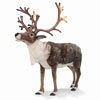 Life Size Nordic Reindeer