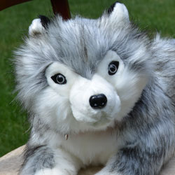 Husky Stuffed Dog