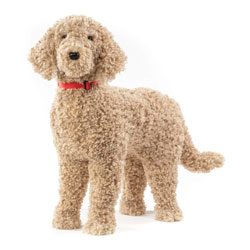 Golden Doodle Stuffed Dog