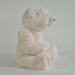 Vanilla Cream Teddy