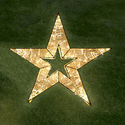 3D Standing Star