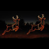 Holiday Lights Reindeer