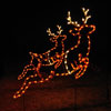 Holiday Lights Reindeer Set