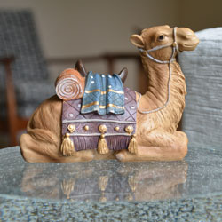 Three Kings Camel