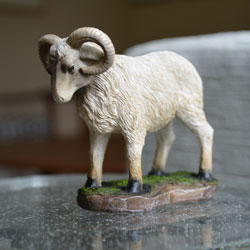 real-life-ram