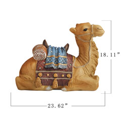 Outdoor Resting Camel