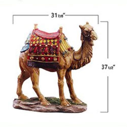 Outdoor Camel