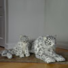 Hansa Snow Leopards